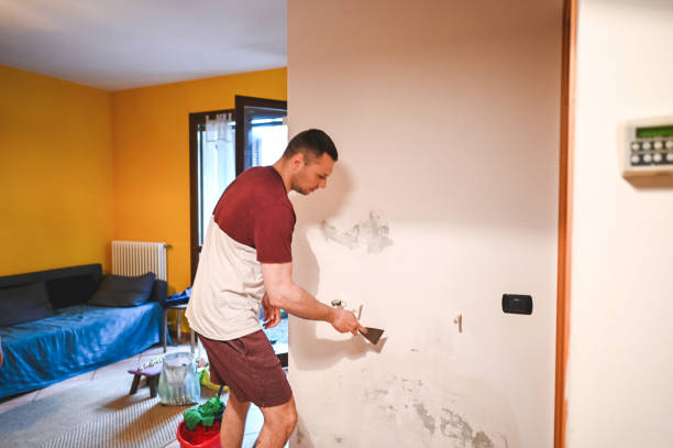 Reliable Henning, TN Mold Remediation Solutions